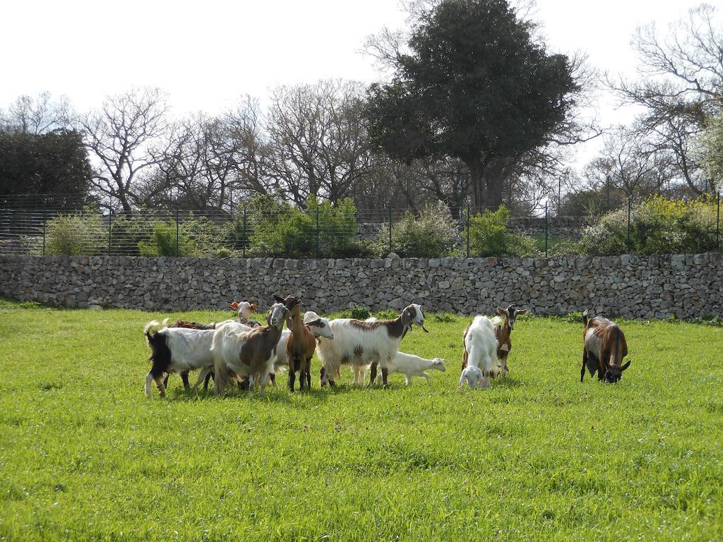 Villa Agriturismo Masseria Casedde Vecchie Martina Franca Exterior foto