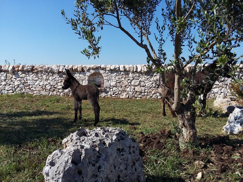 Villa Agriturismo Masseria Casedde Vecchie Martina Franca Exterior foto